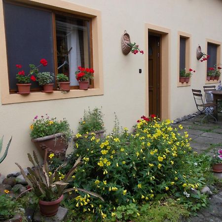 Hotel Casa Lia Sighişoara Esterno foto