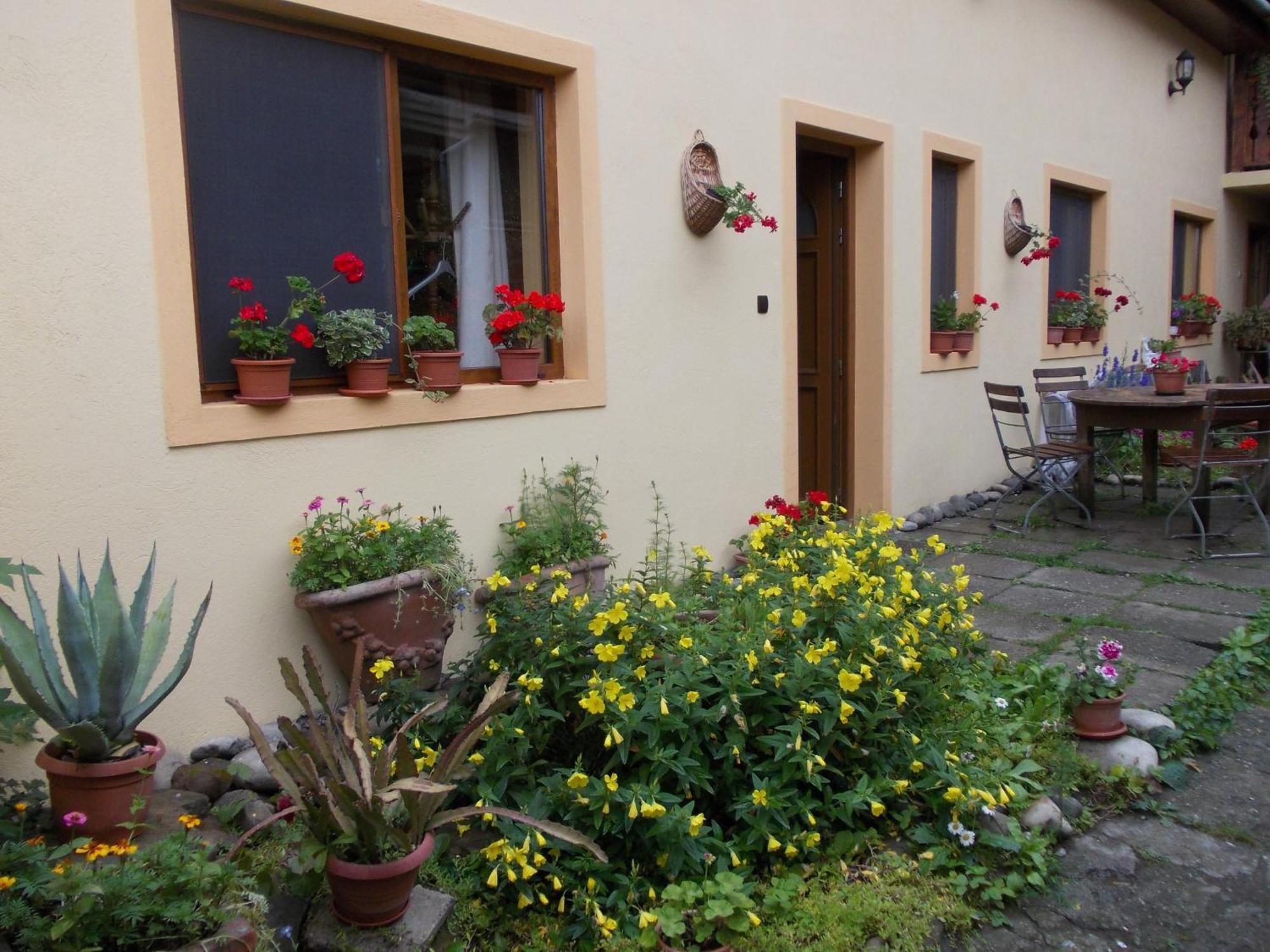 Hotel Casa Lia Sighişoara Esterno foto